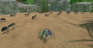 A little Jumpingspider's Garden Adventure (Day 1+2)