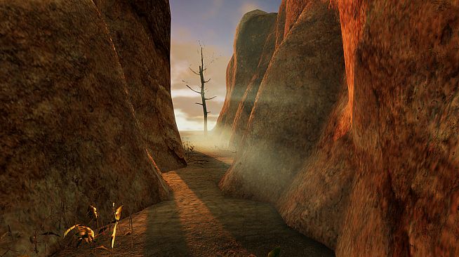 Gander National Park