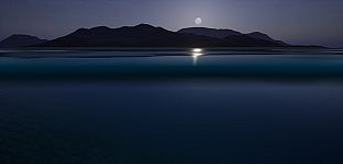 Researchity | Open World Survival Game