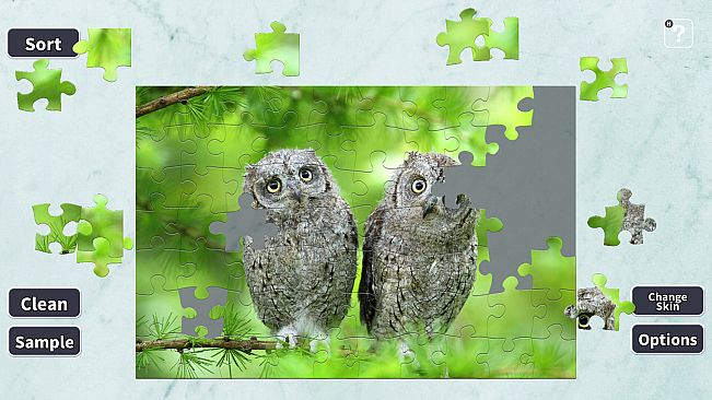 Jigsaw Masterpieces : Owl