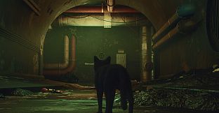 DarkRay