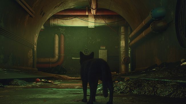 DarkRay