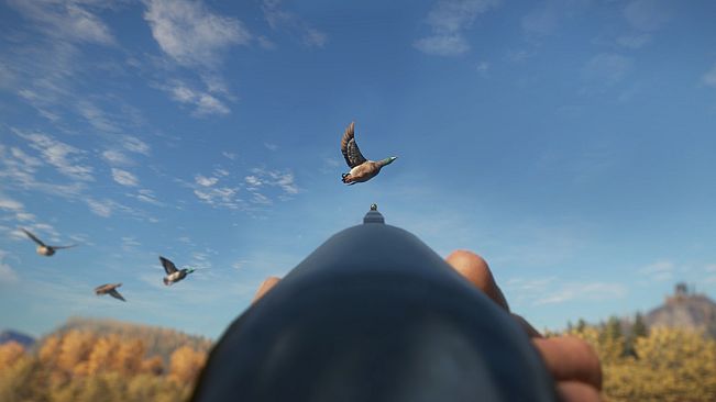 theHunter: Call of the Wild - Duck and Cover Pack