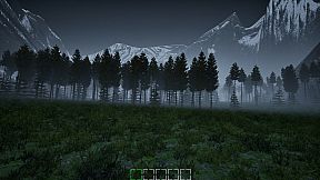 Mushroom Selection 2