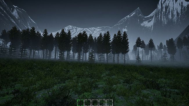 Mushroom Selection 2