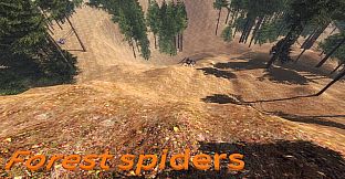 Forest spiders