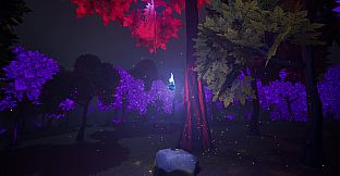 What You Don't See