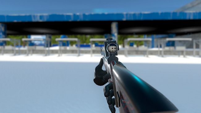 Biathlon Battle VR