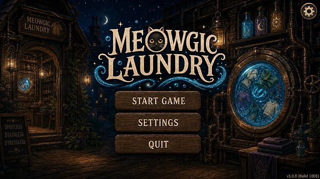 Meowgic Laundry