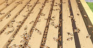Queenright: A Beekeeping Simulator