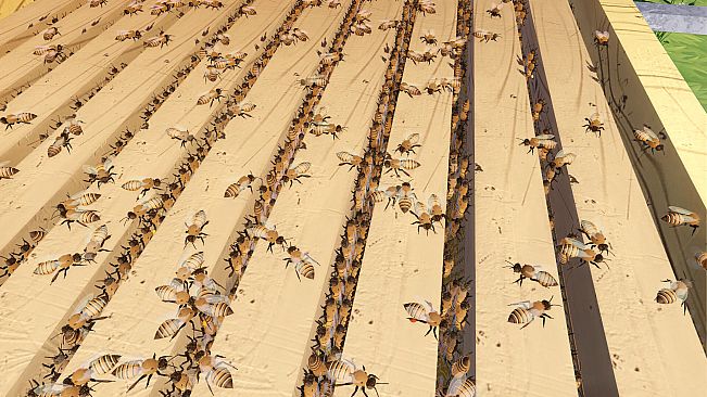 Queenright: A Beekeeping Simulator
