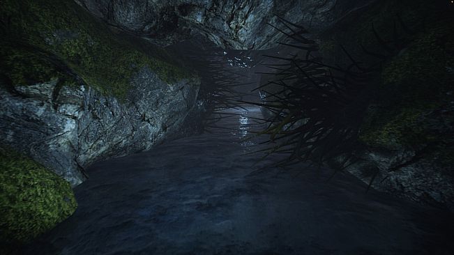 A Whisper in the Twilight: Chapter Two