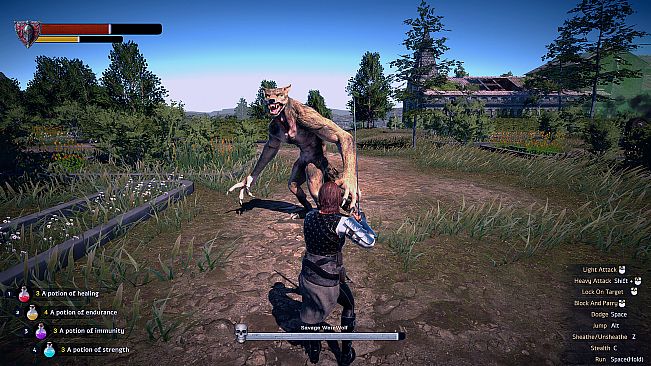 The Witch's Redemption