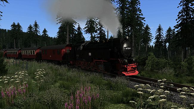 Train Simulator: Brockenbahn: Wernigerode - Brocken Route Add-On