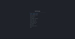vim racer