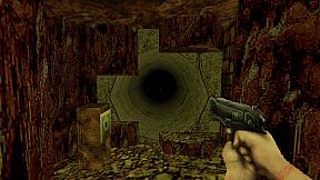 Dismantled Director's Cut