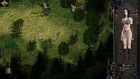 Desires of the Amazons