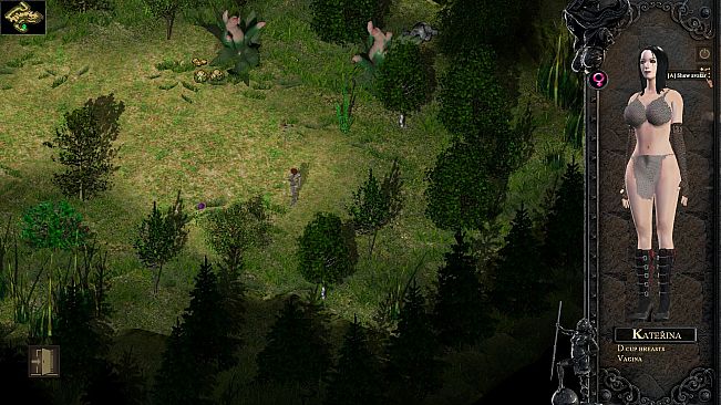 Desires of the Amazons