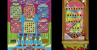 Bingo Pinball Gameroom - Bally Frolics