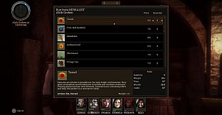 Realms of Arkania: Blade of Destiny