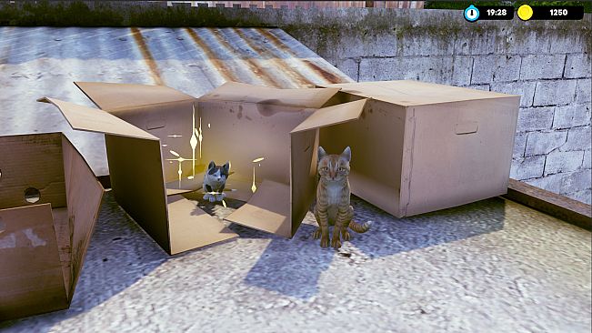 Little Strays - Beyond Havana