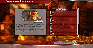 Duels of the Planeswalkers Gold Game Bundle