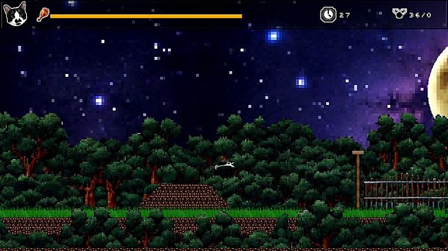 A Cat named Gossamergoober