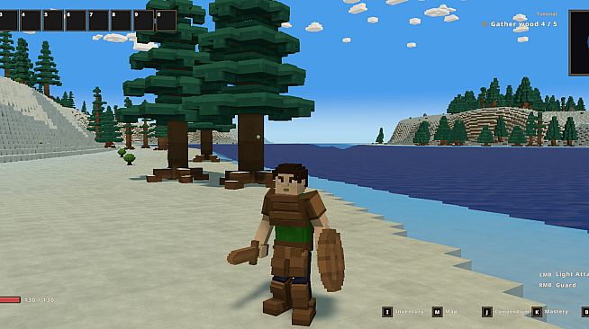 Voxel Wild