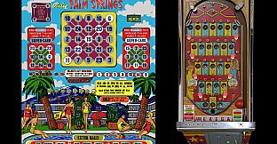 Bingo Pinball Gameroom - Bally Palm Springs