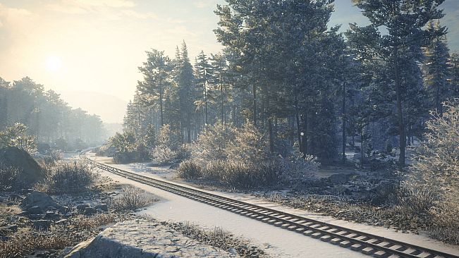 theHunter: Call of the Wild - Medved-Taiga - Windows 10