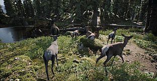PROJECT HUNT - Trophy Sanctuary