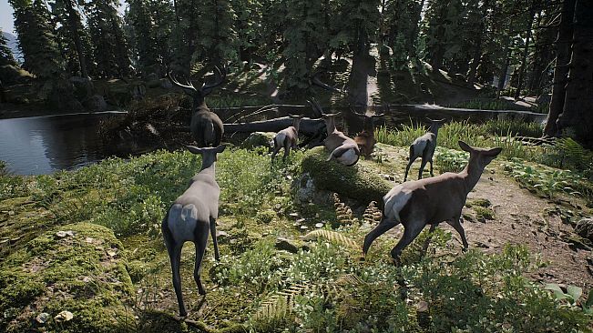 PROJECT HUNT - Trophy Sanctuary