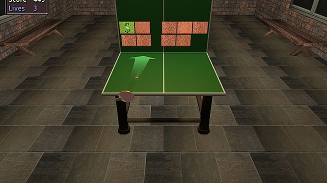 Table Tennis Pro