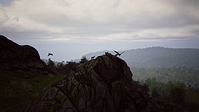 FIRE The First Dreamer