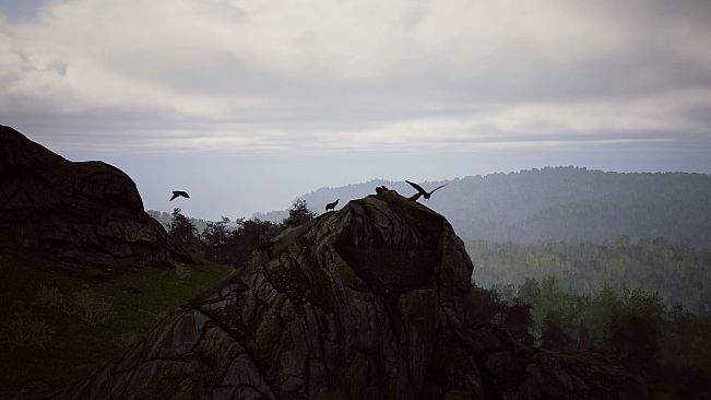 FIRE The First Dreamer