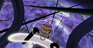 The Body VR: Journey Inside a Cell