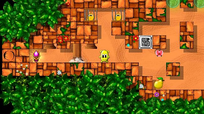 Danko and the mystery of the jungle