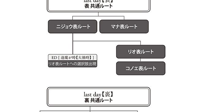 His diary - Re;quartz Raid official guide book - PDF ver.