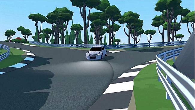 E-Rally: The Linear Function Racer