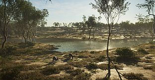 theHunter: Call of the Wild - Emerald Coast Australia - Windows 10