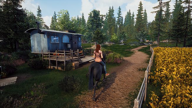 Windstorm: Start of a Great Friendship