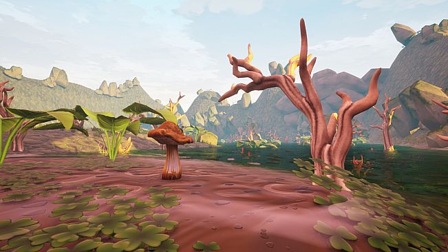Mushroom Collector