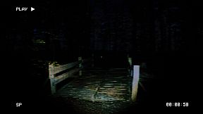 The Lancaster Leak - O'Brien State Park