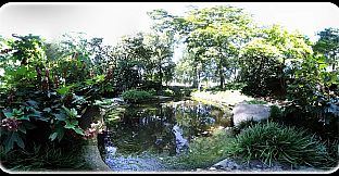 Exhale XR - Splendid Life