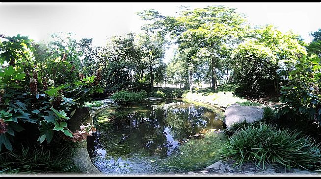 Exhale XR - Splendid Life