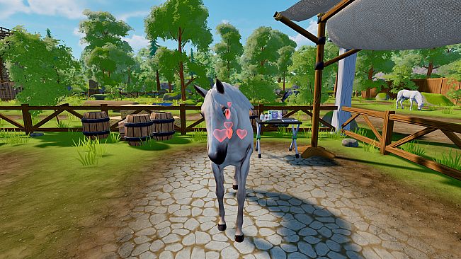 Sophia’s Animal Clinic – Mission Wildlife Park