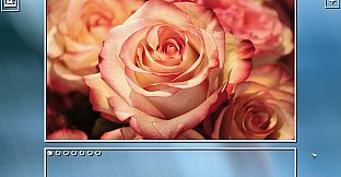 Super Jigsaw Puzzle: Generations - Flowers Puzzles