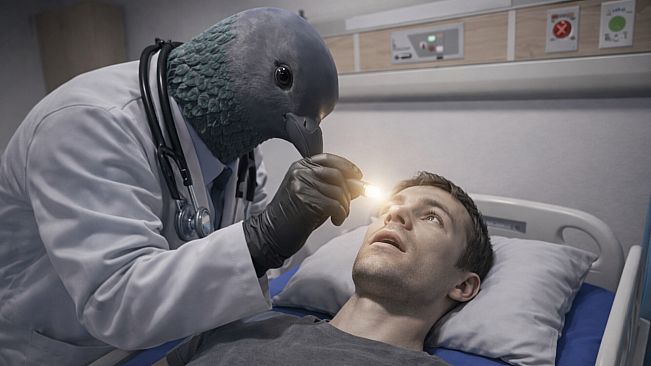 Doctor Pigeon Simulator