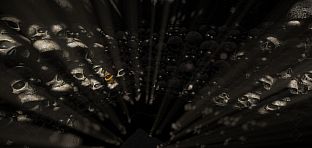 The Questness: Light of Ra