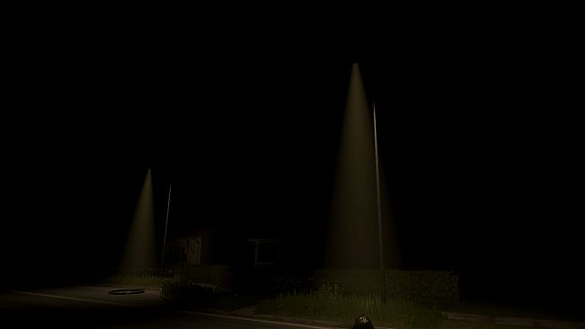 The Obsessive Shadow - Chapter 2